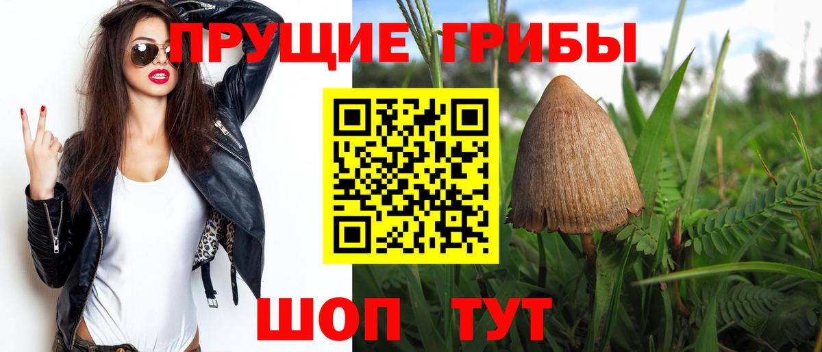 Галлюциногенные грибы Psilocybine cubensis Ярцево